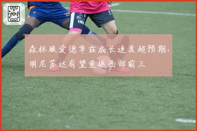 森林狼爱德华兹成长速度超预期,明尼苏达有望重返西部前三